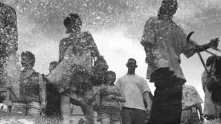 Illustration for article titled These Photos Were Amazingly Taken from Street Puddles